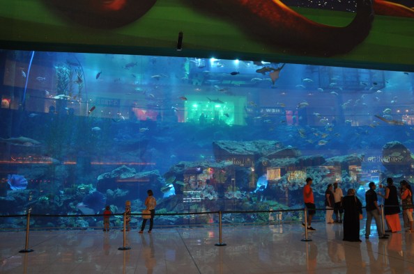 Aquarium geant au Mall of the Emirates. Photo : Coline Herbomel-Ringa.